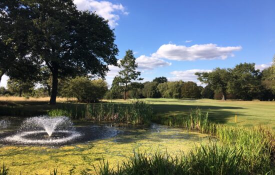 8th hole pond