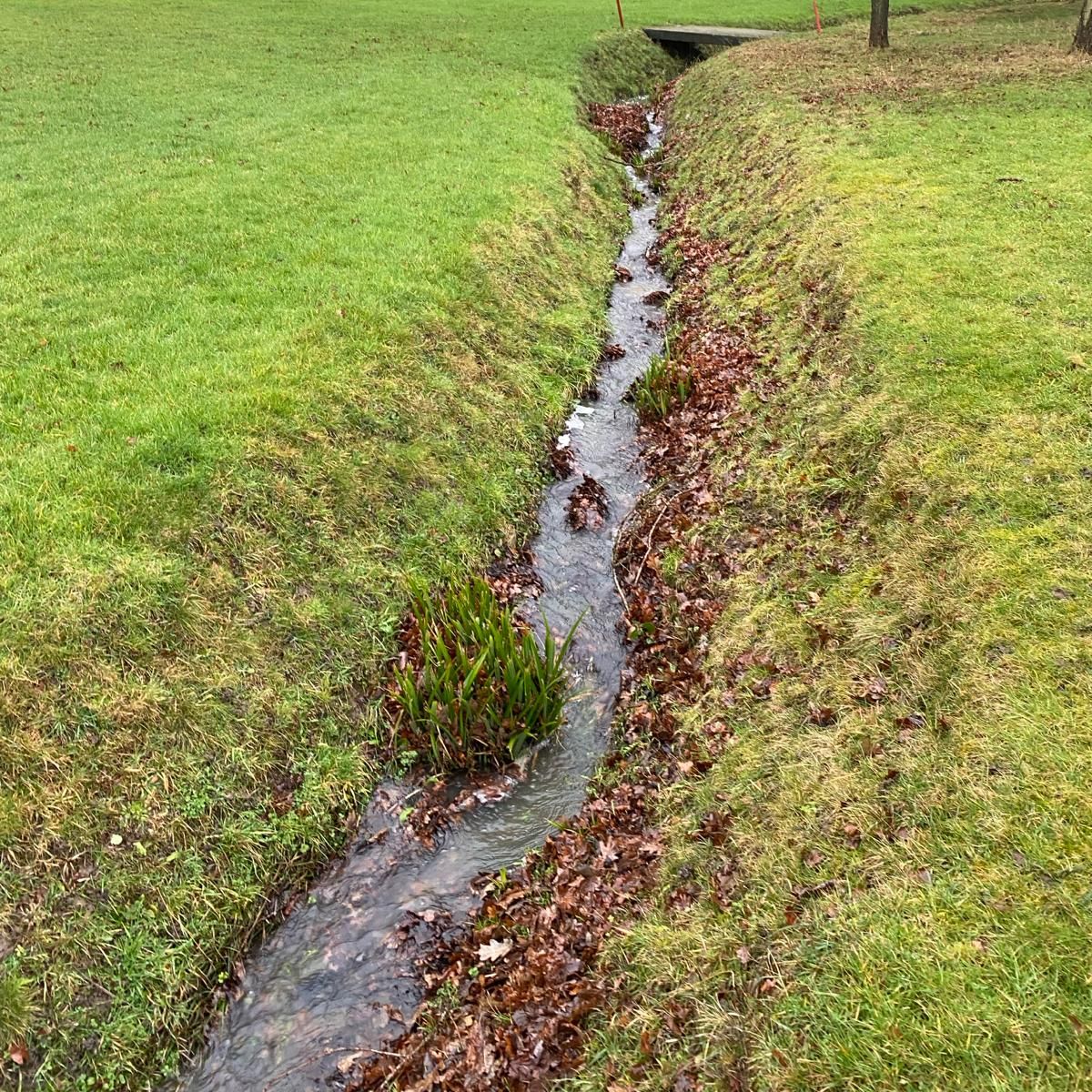 Drainage
