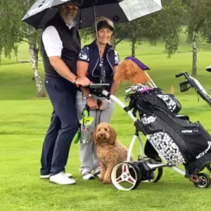 Dog Friendly